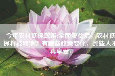 今年农村低保政策(全面脱贫后，农村低保将被取消？有哪些政策变化，哪些人不再享受)