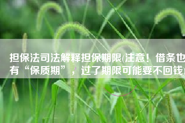 担保法司法解释担保期限(注意！借条也有“保质期”，过了期限可能要不回钱)
