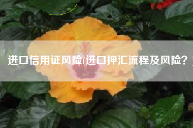 进口信用证风险(进口押汇流程及风险？)