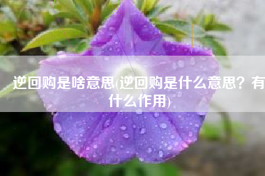 逆回购是啥意思(逆回购是什么意思？有什么作用)
