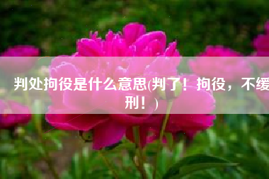 判处拘役是什么意思(判了！拘役，不缓刑！)