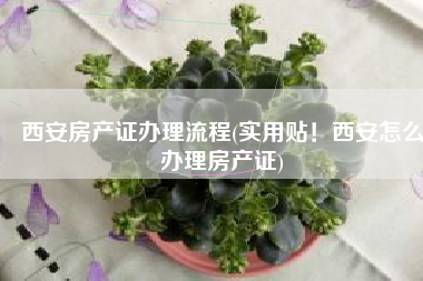 西安房产证办理流程(实用贴！西安怎么办理房产证)