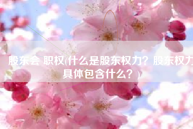股东会 职权(什么是股东权力？股东权力具体包含什么？)