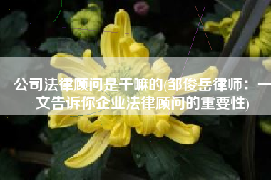 公司法律顾问是干嘛的(邹俊岳律师：一文告诉你企业法律顾问的重要性)