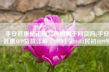 平安普惠是正规公司吗属于网贷吗(平安普惠APP贷款详解（2019）浙0481民初4899号)