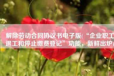 解除劳动合同协议书电子版(“企业职工退工和停止缴费登记”功能，新鲜出炉)