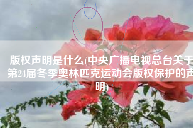 版权声明是什么(中央广播电视总台关于第24届冬季奥林匹克运动会版权保护的声明)