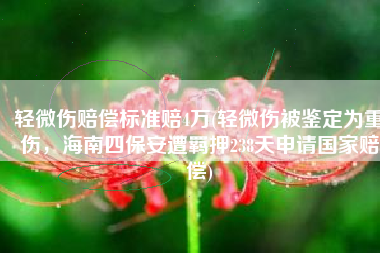 轻微伤赔偿标准赔4万(轻微伤被鉴定为重伤，海南四保安遭羁押238天申请国家赔偿)