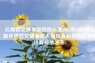 云南省交通事故赔偿标准2021年(2020年云南省道路交通事故人身损害赔偿有关费用计算标准发布)