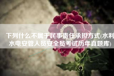 下列什么不属于民事责任承担方式(水利水电安管人员安全员考试历年真题库)