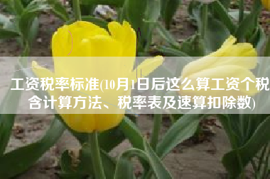 工资税率标准(10月1日后这么算工资个税！含计算方法、税率表及速算扣除数)