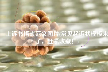 上诉书格式范文图片(常见起诉状模板来了，赶紧收藏！)