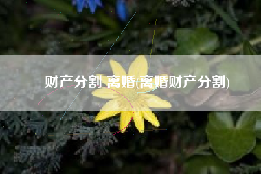 财产分割 离婚(离婚财产分割)