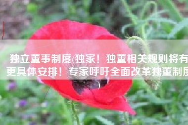 独立董事制度(独家！独董相关规则将有更具体安排！专家呼吁全面改革独董制度)