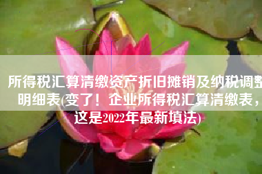 所得税汇算清缴资产折旧摊销及纳税调整明细表(变了！企业所得税汇算清缴表，这是2022年最新填法)