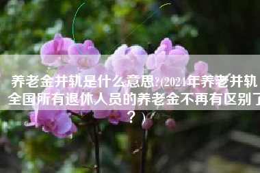 养老金并轨是什么意思?(2024年养老并轨，全国所有退休人员的养老金不再有区别了？)