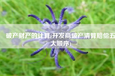 破产财产的计算(开发商破产清算赔偿五大顺序)