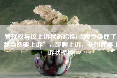 管辖权异议上诉状寄给谁(“我受委屈了，我当然要上诉”，聊聊上诉，并附民事上诉状模板)