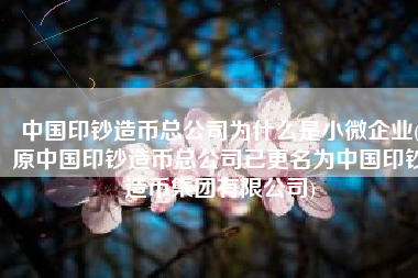 中国印钞造币总公司为什么是小微企业(原中国印钞造币总公司已更名为中国印钞造币集团有限公司)