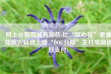 网上分期商城有哪些(比“放心花”更像花呗？抖音上线“DOU分期”主打电商场景支付)