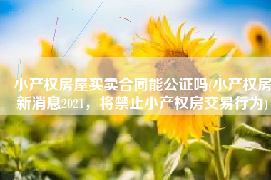 小产权房屋买卖合同能公证吗(小产权房新消息2021，将禁止小产权房交易行为)