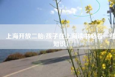 上海开放二胎(孩子在上海读书必看一些知识)
