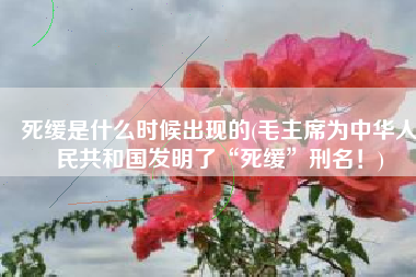 死缓是什么时候出现的(毛主席为中华人民共和国发明了“死缓”刑名！)
