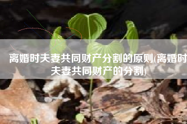 离婚时夫妻共同财产分割的原则(离婚时夫妻共同财产的分割)