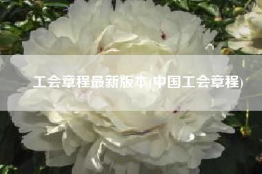 工会章程最新版本(中国工会章程)