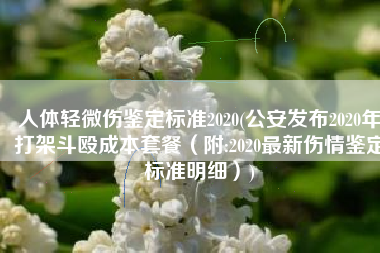 人体轻微伤鉴定标准2020(公安发布2020年打架斗殴成本套餐（附:2020最新伤情鉴定标准明细）)
