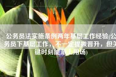公务员法实施条例两年基层工作经验(公务员下基层工作，不一定提拔晋升，但关键时刻能派上用场)