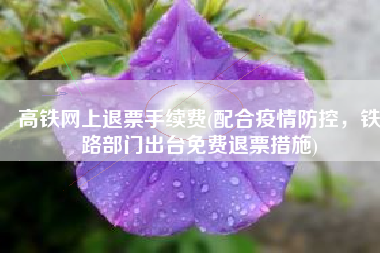 高铁网上退票手续费(配合疫情防控，铁路部门出台免费退票措施)