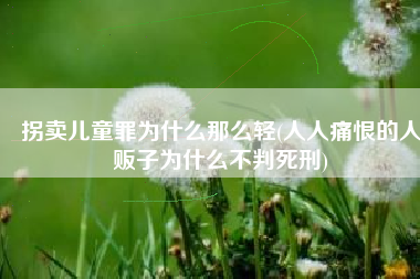 拐卖儿童罪为什么那么轻(人人痛恨的人贩子为什么不判死刑)