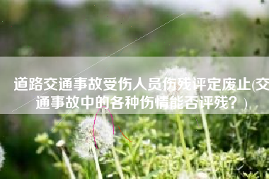 道路交通事故受伤人员伤残评定废止(交通事故中的各种伤情能否评残？)