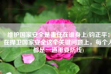 维护国家安全是责任在谁身上(钧正平：在捍卫国家安全这个关键问题上，每个人都是一道重要防线)