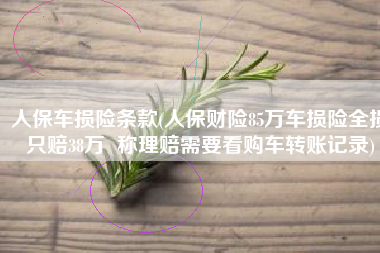 人保车损险条款(人保财险85万车损险全损只赔38万  称理赔需要看购车转账记录)