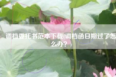 调档委托书范本下载(调档函日期过了怎么办？)