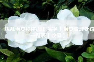 扰乱治安秩序(基层实务丨治安管理处罚一览表【收藏】)
