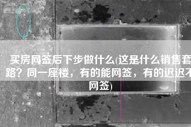 买房网签后下步做什么(这是什么销售套路？同一座楼，有的能网签，有的迟迟不网签)