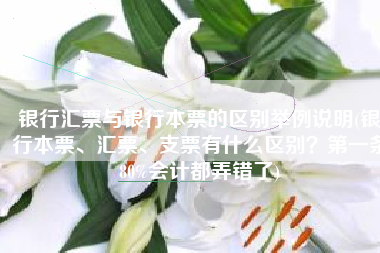 银行汇票与银行本票的区别举例说明(银行本票、汇票、支票有什么区别？第一条80%会计都弄错了)
