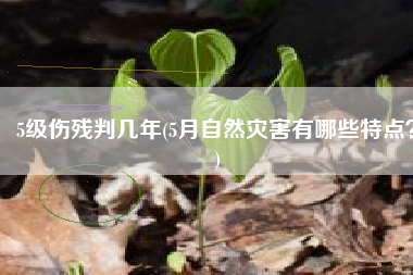 5级伤残判几年(5月自然灾害有哪些特点？)