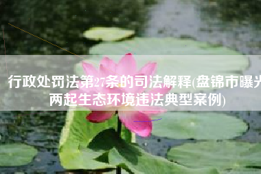行政处罚法第27条的司法解释(盘锦市曝光两起生态环境违法典型案例)