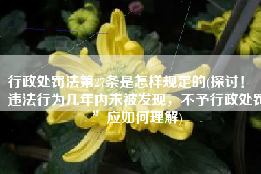 行政处罚法第27条是怎样规定的(探讨！“违法行为几年内未被发现，不予行政处罚”应如何理解)