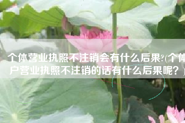 个体营业执照不注销会有什么后果?(个体户营业执照不注销的话有什么后果呢？)
