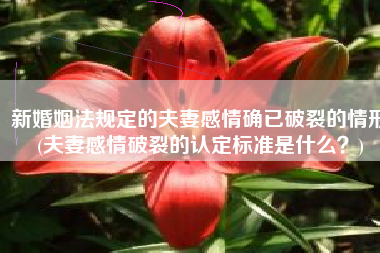 新婚姻法规定的夫妻感情确已破裂的情形(夫妻感情破裂的认定标准是什么？)
