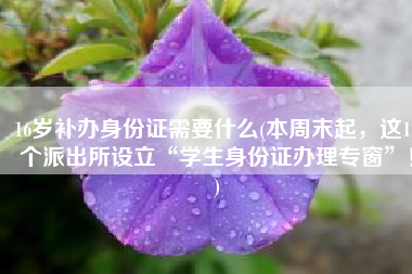 16岁补办身份证需要什么(本周末起，这17个派出所设立“学生身份证办理专窗”！)