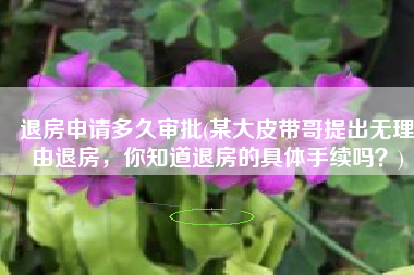 退房申请多久审批(某大皮带哥提出无理由退房，你知道退房的具体手续吗？)