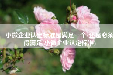 小微企业认定标准是满足一个?还是必须得满足(小微企业认定标准)