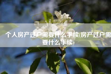个人房产过户需要什么手续(房产过户需要什么手续)