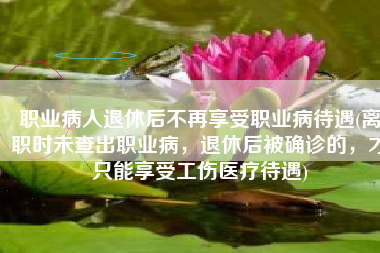 职业病人退休后不再享受职业病待遇(离职时未查出职业病，退休后被确诊的，才只能享受工伤医疗待遇)